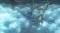NSW THE LEGEND OF ZELDA: BREATH OF THE WILD