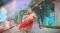 PS4 FATE/EXTELLA LINK - JOYEUSE EDITION