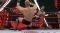 PS5 WWE 2K22