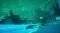 PS5 CALL OF THE SEA - NORAHS DIARY EDITION