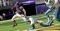 XBOX1 / XSX MADDEN NFL 21