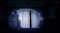 NSW FIVE NIGHTS AT FREDDYS - CORE COLLECTION