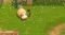 NSW MY UNIVERSE: GREEN ADVENTURE - FARMER FRIENDS