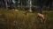 PS5 WAY OF THE HUNTER