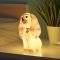PALADONE DISNEY: LADY AND THE TRAMP - LADY LIGHT BDP (PP6946LT)