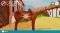 NSW BIBI & TINA: NEW ADVENTURES WITH HORSES