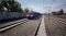 XBOX1 / XSX TRAIN LIFE: A RAILWAY SIMULATOR