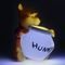 PALADONE DISNEY CLASSICS - WINNIE THE POOH LIGHT (PP11753WP)