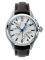 ����� TIMEX TX330 PERPETUAL CALENDAR T3B801