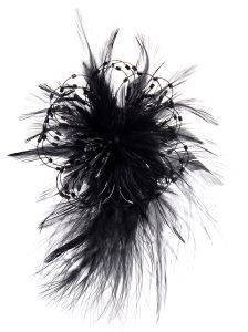 ����������� ��������� BEVERLY