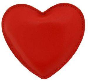 ���� ����� ������ �������