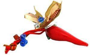 ����� ���� ����� ������� ������� �� ����� ���������