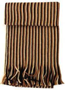 ������ ���� �� ������