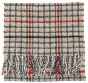 ������ ���� ����