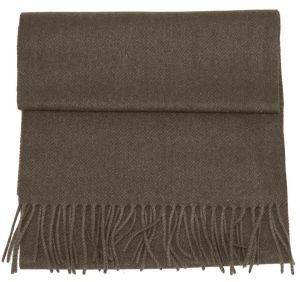 ������ ���� �� �������