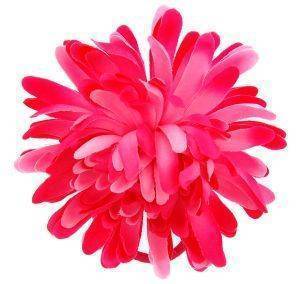 ΛΟΥΛΟΥΔΙ ΡΟΖ ΛΟΥΛΟΥΔΙ ΡΟΖ