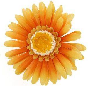 ΛΑΣΤΙΧΑΚΙ  ΛΟΥΛΟΥΔΙ ΠΟΡΤΟΚΑΛΙ-ΚΙΤΡΙΝΟ ΛΑΣΤΙΧΑΚΙ  ΛΟΥΛΟΥΔΙ ΠΟΡΤΟΚΑΛΙ-ΚΙΤΡΙΝΟ