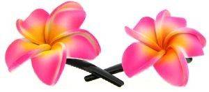 CLIPS ΜΕ ΡΟΖ-ΚΙΤΡΙΝΑ ΛΟΥΛΟΥΔΙΑ (2 TMX) CLIPS ΜΕ ΡΟΖ-ΚΙΤΡΙΝΑ ΛΟΥΛΟΥΔΙΑ (2 TMX)