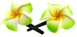 CLIPS ΜΕ ΛΑΙΜ-ΛΕΥΚΑ ΛΟΥΛΟΥΔΙΑ (2 TMX) CLIPS ΜΕ ΛΑΙΜ-ΛΕΥΚΑ ΛΟΥΛΟΥΔΙΑ (2 TMX)