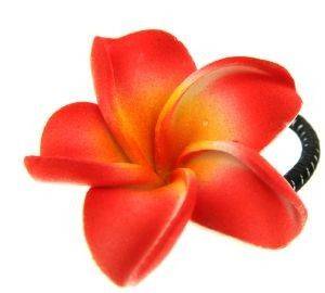 ���������� �� ������� ��������� (2 TMX)