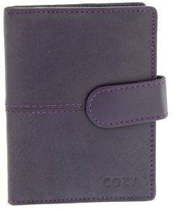 ��������� ��������� COZY ���