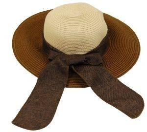 ������ ������ FLOPPY ����/���� �� ������