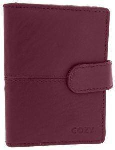 ��������� ��������� COZY ������ ���