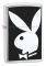 �����H��� �������� ZIPPO PLAYBOY �����
