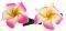 CLIPS �� ��� ��������� (2 TMX)