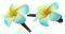 CLIPS �� ����-����� ��������� (2 TMX)