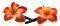 CLIPS �� ������� ��������� (2 TMX)