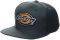  DICKIES MULDOON DK844031  ...