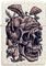   ZIPPO 49786 SKULLSHROOM ...
