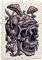 ��������� �������� ZIPPO 49786 SKULLSHROOM ��...