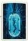   ZIPPO 48520 WOMAN IN TUBE ...
