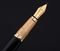   PICASSO MASTER SERIES   906FP-CL 