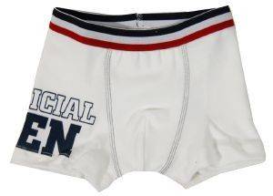 BOXER MINERVA OFFICIAL TEN ΛΕΥΚΟ (98ΕΚ.)-(2-3 ΕΤΩΝ) BOXER MINERVA OFFICIAL TEN ΛΕΥΚΟ (98ΕΚ.)-(2-3 ΕΤΩΝ)