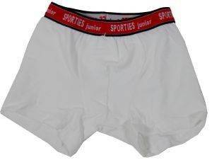 BOXER MINERVA \'SPORT JUNIOR2\' ΕΞΩΤΕΡΙΚΟ ΛΑΣΤΙΧΟ ΛΕΥΚΟ (104ΕΚ.)-(3-4 ΕΤΩΝ) BOXER MINERVA \'SPORT JUNIOR2\' ΕΞΩΤΕΡΙΚΟ ΛΑΣΤΙΧΟ ΛΕΥΚΟ (104ΕΚ.)-(3-4 ΕΤΩΝ)