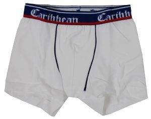 BOXER MINERVA C/EL\'\'CARIBBEAN ΛΕΥΚΟ (104ΕΚ.)-(3-4 ΕΤΩΝ) BOXER MINERVA C/EL\'\'CARIBBEAN ΛΕΥΚΟ (104ΕΚ.)-(3-4 ΕΤΩΝ)