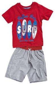 ���������� ����� REFLEX \