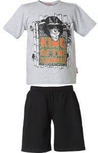 ��� ENERGIERS ����� (164��.)-(14����)