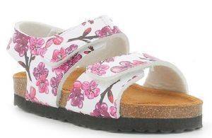 ΣΑΝΔΑΛΙΑ KICKERS SUMMERKRO 555503 ΛΕΥΚΟ-ΡΟΖ (EU:24) ΣΑΝΔΑΛΙΑ KICKERS SUMMERKRO 555503 ΛΕΥΚΟ-ΡΟΖ (EU:24)