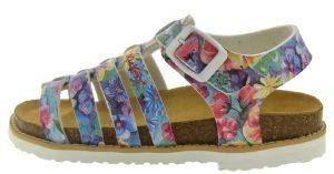 ΠΕΔΙΛΑ KICKERS DAIGON 622431 MULTICOLOR (EU:32) ΠΕΔΙΛΑ KICKERS DAIGON 622431 MULTICOLOR (EU:32)