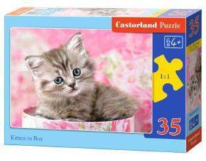  CASTORLAND KITTEN IN BOX 35