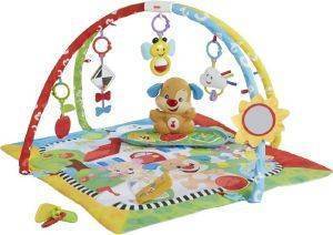 FISHER PRICE     [FTN23]