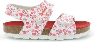  KICKERS SUMMERKRO 637314 FLORAL / (EU:19)