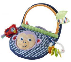  FISHER PRICE     [DYC85]