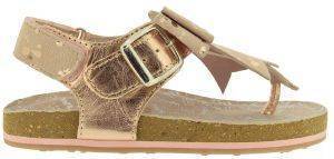  MOD8 KOLINE 783960    (EU:36)