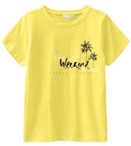 T-SHIRT NAME IT 13190754 NKMJAIDEN SS TOP BOX  (158-164 CM)-(13-14 )