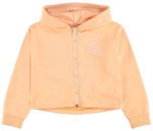 HOODIE   NAME IT 13194081 NKFLATTI  (122-128 CM)-(7-8 )